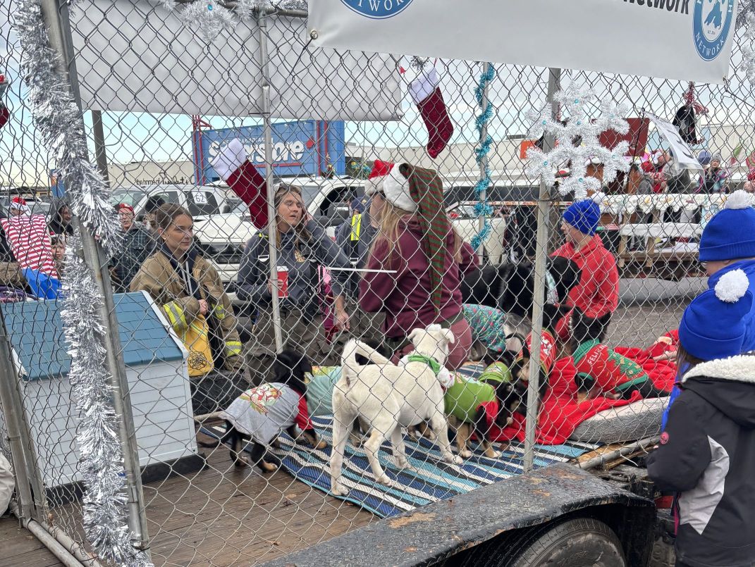 Dirty Hands Disposal logo